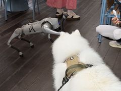 -Grande A'moo(上海万象城店)