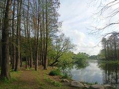 -共青国家森林公园-售票处