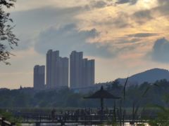 -前关湿地公园