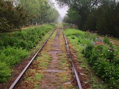 -永定河休闲森林公园