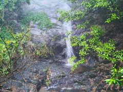 -东天目山风景区