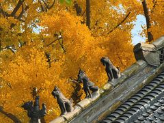 -浮来山风景区