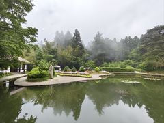 -庐山风景区花径公园