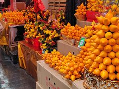 -越秀西湖花市(广州城市广场花卉店)