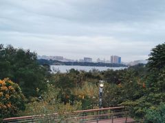 -立新湖公园