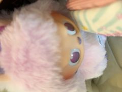 -肯德基(大桥北服务区东店)