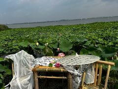 -七的湖·晚芳亭·阳澄湖农家菜·大闸蟹(莲花岛店)