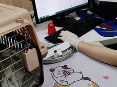 -瑞鹏宠物医院·内科·中兽医·骨科(苗圃店)