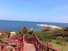 -养马岛旅游度假区