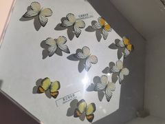 -青藏高原自然博物馆