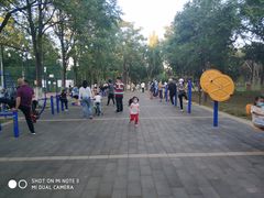 -回龙观体育文化公园