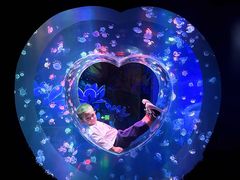 -海合安成都极地海洋公园