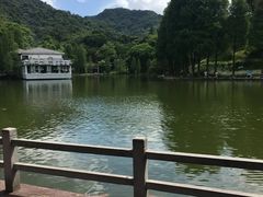 -桃花涧