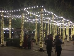 -西湖外事游船(湖滨二公园外事游船码头)