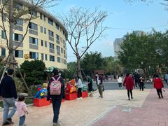 -灵玲国际马戏城