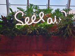 -Seesaw Coffee(朝阳大悦城店)