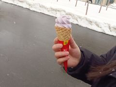 -正飞鲜奶(吐鲁番路店)