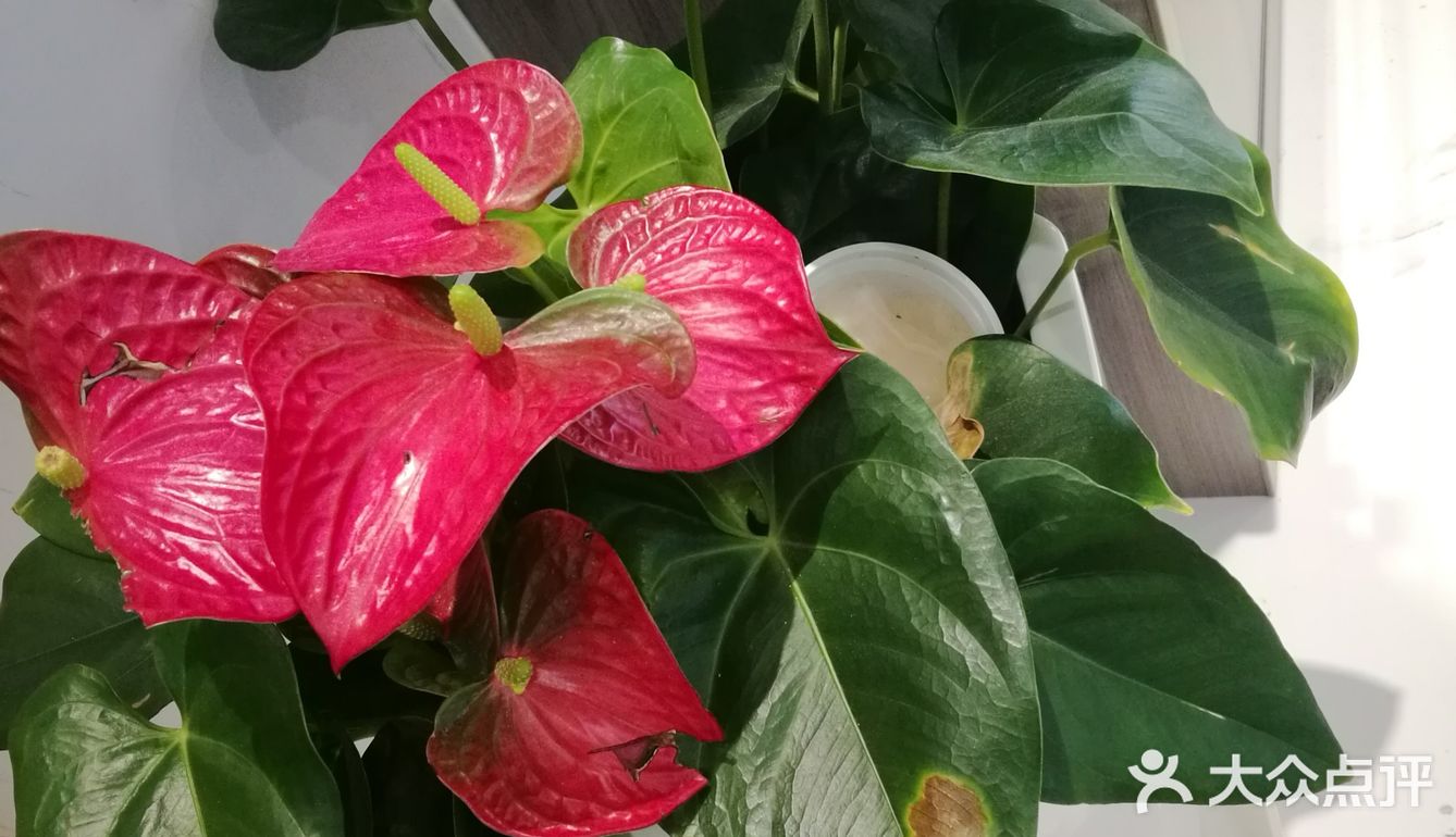 强力推荐这家店