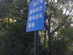 -新江湾城公园