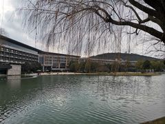 -上海佘山世茂艾美酒店
