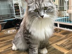 -小时光咖啡馆(北锣鼓巷店)