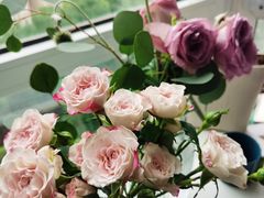 -双季花艺园艺市场(浦东店)