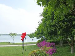 -桐乡凤凰湖