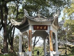 -江心屿景区