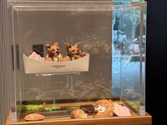 -Laderach 莱德拉(上海环贸iapm店)