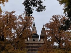 -北京石刻艺术博物馆(五塔寺)