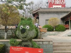 -阳台山自然风景区