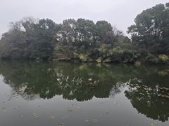 -张鸟园农家乐(张鸟园店)