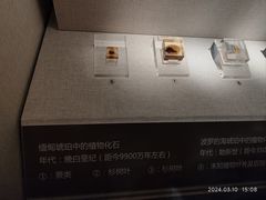 -湖南省地质博物馆