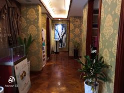 -水女人科技美肤·LDM·超清秀