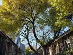 -束河人家(南锣鼓巷店)