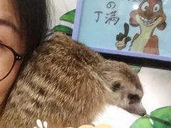 -藦茜花园宠物主题亲子互动体验馆(国顺东路店)