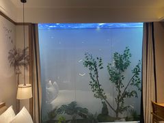 -禾尖S酒店(深圳大学店)