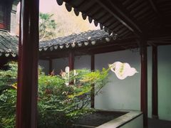 -水绘园