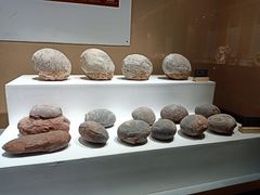 -抱璞文化展示中心