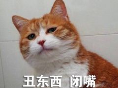 -全统永和豆浆(扬村三路店)