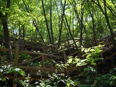 -大岭沟猕猴桃谷风景区