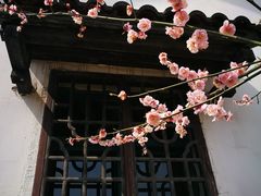 -石塘人家
