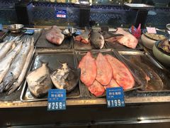 -浩运·海鲜青岛菜·海胆水饺(石老人店)