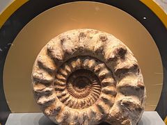 -湖南省地质博物馆