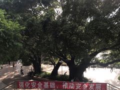 -人民公园(罗湖区)