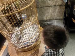 -小城粥道·海胆鲜虾粥(解放广场店)