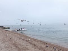 -海驴岛(荣成市)