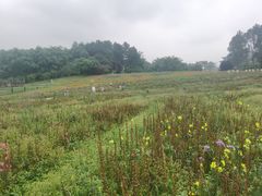 -保利石象湖景区