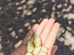 -古老冰山特色冰淇淋店(艾提尕尔店)