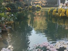 -杭州植物园